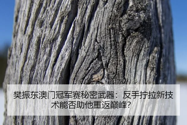 fan-zhen-dong-ao-men-guan-jun-sai-mi-mi-wu-qi-fan-shou-ning-la-xin-ji-shu-neng-fou-zhu-ta-chong-fan-dian-feng-2-869.jpg