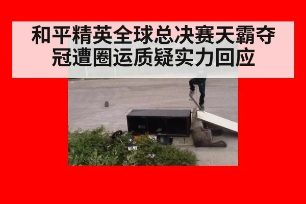 和平精英全球总决赛天霸夺冠遭圈运质疑实力回应