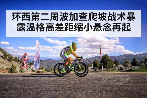 环西第二周波加查爬坡战术暴露温格高差距缩小悬念再起